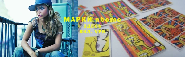 прущие грибы Краснослободск