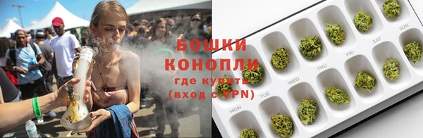 прущие грибы Краснослободск