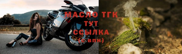 прущие грибы Краснослободск