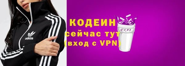 прущие грибы Краснослободск
