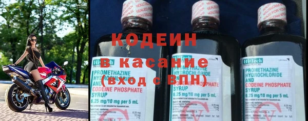 прущие грибы Краснослободск