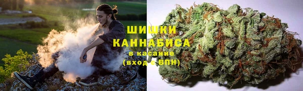 mdpv Болотное