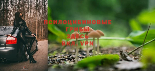 каннабис Коряжма